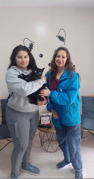 Adopta un gato